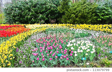 Keukenhof Gardens 4 Keukenhof Gardens 4 113079799