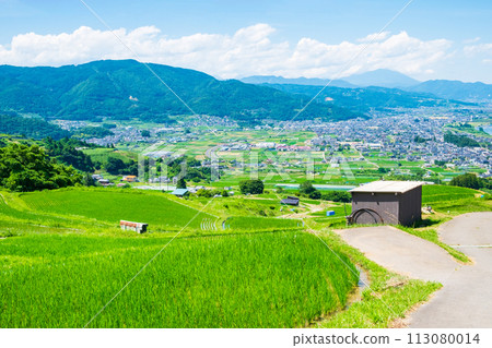 Obasute 的梯田(6 月) Obasute 的梯田(6 月) 113080014