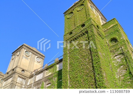 神奈川縣、橫濱市、根岸森林公園、橫濱賽馬場 113080789