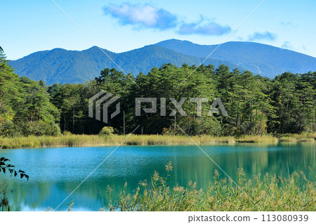 萬代朝日國立公園:從五色沼自然步道健行路線眺望弁天沼和西東山 萬代朝日國立公園:從五色沼自然步道健行路線眺望弁天沼和西東山 113080939