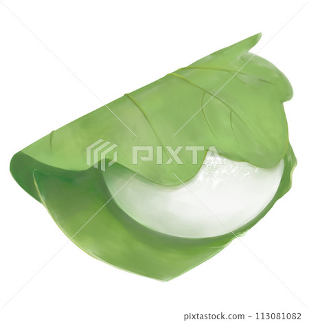 柏餅插圖（手繪） 113081082