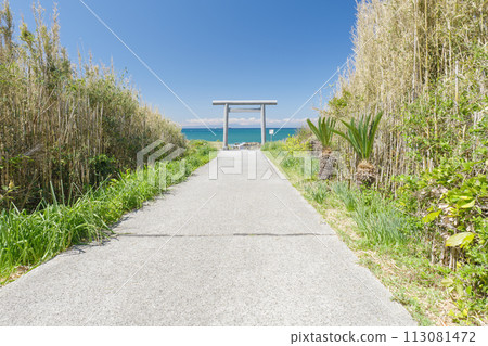 Susaki Shrine, the first torii gate and the approach to the sea, Minamiboso City, Chiba Prefecture 113081472