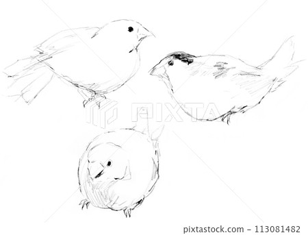 小松益喜素描集 小松益喜素描集 - メルカリ