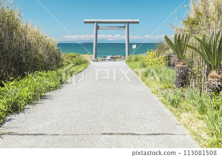 Susaki Shrine, the first torii gate and the approach to the sea, Minamiboso City, Chiba Prefecture Susaki Shrine, the first torii gate and the approach to the sea, Minamiboso City, Chiba Prefecture 113081508