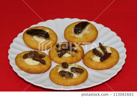 insect food snack insect food snack 113081681