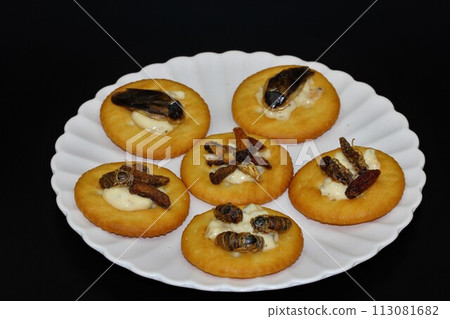 insect food snack insect food snack 113081682