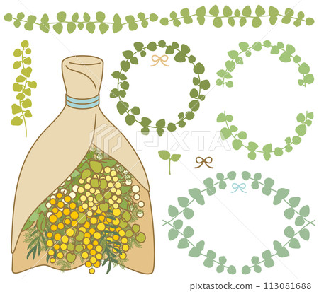 Decorative illustration of mimosa bouquet and ivy [set/material] 113081688
