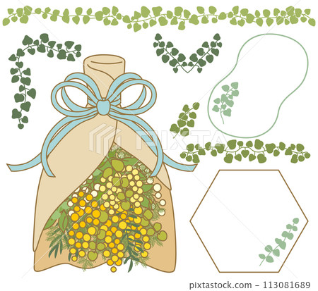 含羞草花束與常春藤裝飾插畫【套裝/素材】 含羞草花束與常春藤裝飾插畫【套裝/素材】 113081689