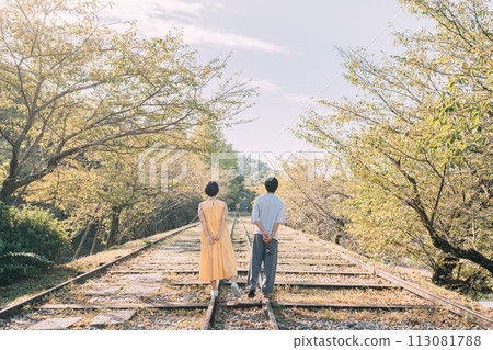 Couple walking in autumn park 113081788