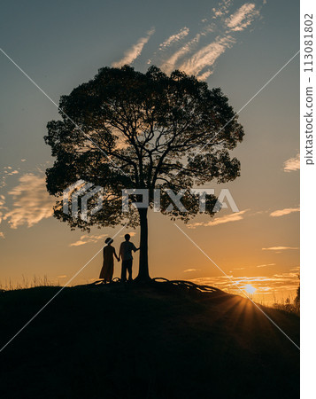 Tree and couple silhouette reflected in the setting sun 113081802