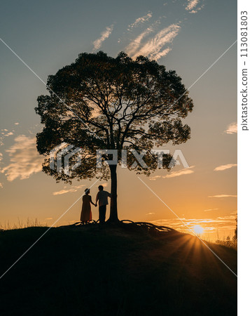 Tree and couple silhouette reflected in the setting sun Tree and couple silhouette reflected in the setting sun 113081803