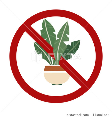 Vector forbidden sign with house plant isolated from background. Growing tropical flowers is prohibited. Do not touch rare flowers. Vector forbidden sign with house plant isolated from background. Growing tropical flowers is prohibited. Do not touch rare flowers. 113081838