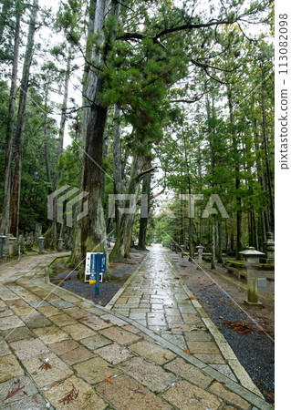 Koyasan: Stone pavement in the rain, heading to the inner sanctuary, Wakayama Prefecture Koyasan: Stone pavement in the rain, heading to the inner sanctuary, Wakayama Prefecture 113082098