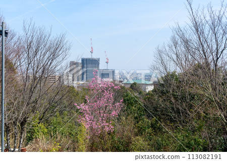Takarazuka distant view 113082191