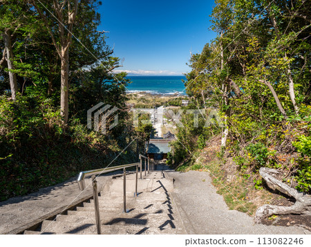 從須崎神社主殿眺望參道和太平洋 從須崎神社主殿眺望參道和太平洋 113082246