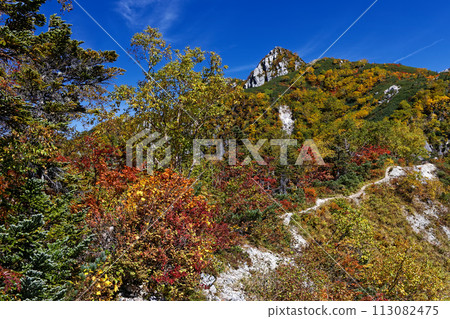 北阿爾卑斯山的秋葉與屏風耳朵 北阿爾卑斯山的秋葉與屏風耳朵 113082475