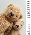 Nakayoshi Teddy Bear 113082788