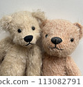 Nakayoshi Teddy Bear 113082791