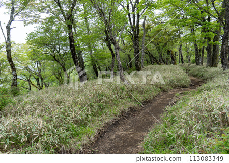 丹澤山~殿嶽山之間的登山路線 丹澤山~殿嶽山之間的登山路線 113083349