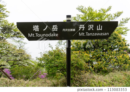 丹澤山~殿嶽山之間的登山路線 丹澤山~殿嶽山之間的登山路線 113083353