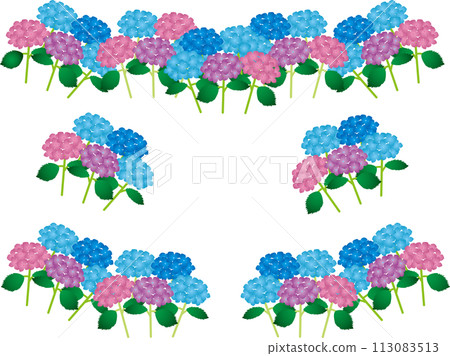 繡球G1 繡球G1 113083513