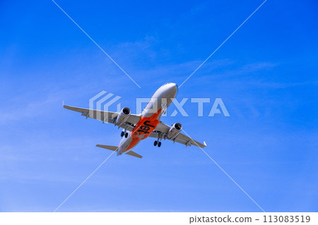 《飛機》空中巴士Airbus A320ceo家族 > A320 113083519