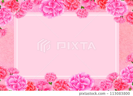 Carnation gorgeous frame background lace pattern Mother's Day 113083800