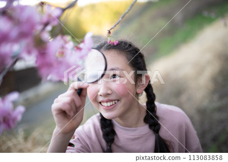 一個女孩用放大鏡看櫻花 一個女孩用放大鏡看櫻花 113083858