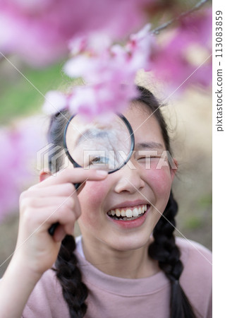 A girl looking at cherry blossoms with a magnifying glass A girl looking at cherry blossoms with a magnifying glass 113083859