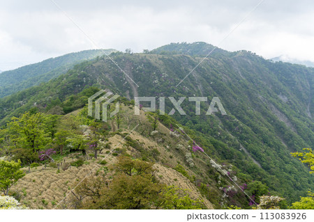 Higokigakidake summit 113083926