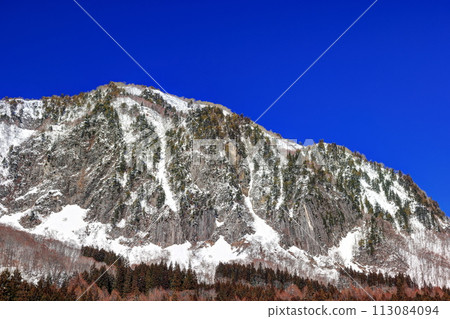 Akiyamagofuiwa in winter 113084094