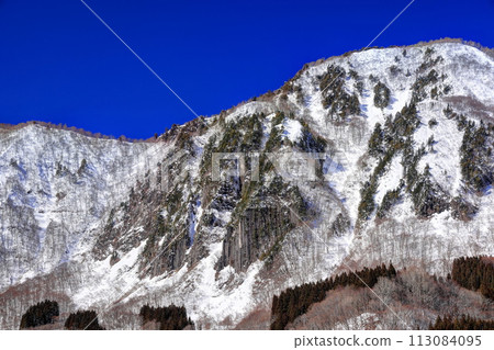 Akiyamagofuiwa in winter 113084095