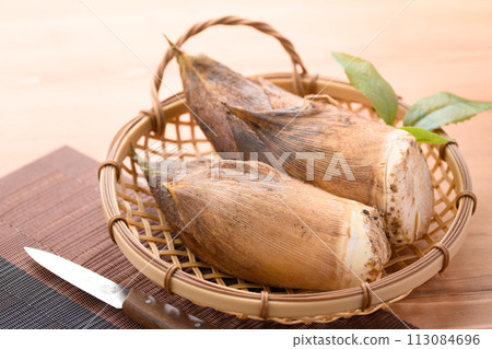 春季食材：剛採摘的竹筍 113084696