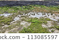 Lava coast spring blue scenery 113085597