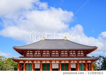 奈良縣興福寺中近堂及藍天 113085821