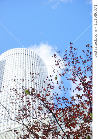 High-rise buildings that shine against the blue sky 3 113086071