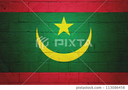 Flag of Mauritania painted on a wall 113086456