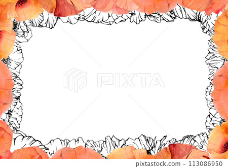 Hand drawn watercolor botanical illustration flowers leaves. Red poppy papaver, stems buds seedpods. Border frame isolated on white background. Design wedding, love cards, remembrance day stationery 113086950