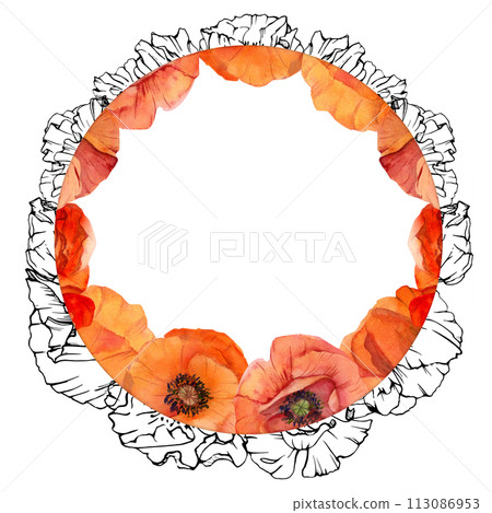 Hand drawn watercolor botanical illustration flowers leaves. Red poppy papaver, stems buds seedpods. Wreath frame isolated on white background. Design wedding, love cards, remembrance day stationery 113086953