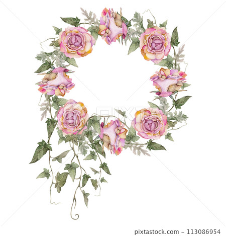 Hand drawn watercolor illustration shabby boho botanical flowers leaves. Dusty pink tea rose buds, ivy tendrils, silver cineraria. Wreath frame isolated on white background. Design wedding, love cards 113086954