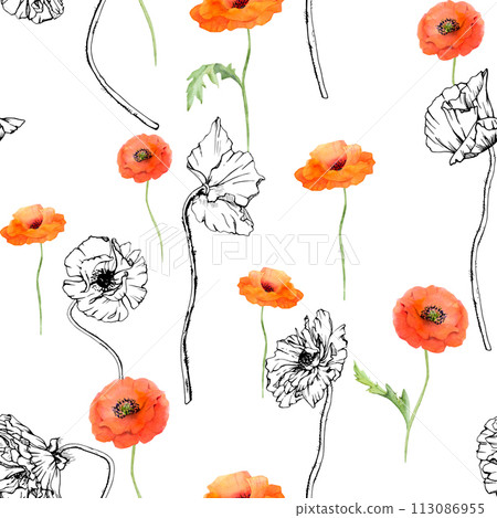 Hand drawn watercolor botanical illustration flowers leaves. Red poppy papaver, stems buds seedpods. Seamless pattern isolated white background. Design wedding, love cards, remembrance day stationery 113086955