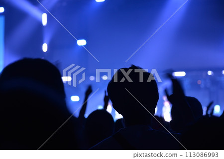 Excitement at the live venue 113086993
