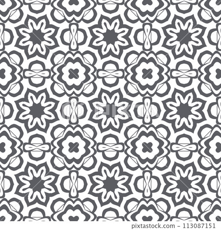 Elegant very beautiful gray and white seamless pattern. Ornamental style tribal ethnic background Elegant very beautiful gray and white seamless pattern. Ornamental style tribal ethnic background 113087151