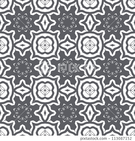 Elegant very beautiful gray and white seamless pattern. Ornamental style tribal ethnic background Elegant very beautiful gray and white seamless pattern. Ornamental style tribal ethnic background 113087152