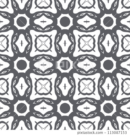 Elegant very beautiful gray and white seamless pattern. Ornamental style tribal ethnic background 113087153