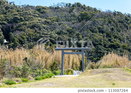 千葉縣立山市、春天的須崎神社、一野鳥居（濱鳥居）和御手洗山 113087264