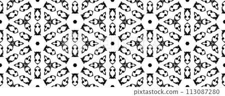 Black and white vintage seamless pattern. Floral ornamental monochrome damask background. Black and white vintage seamless pattern. Floral ornamental monochrome damask background. 113087280