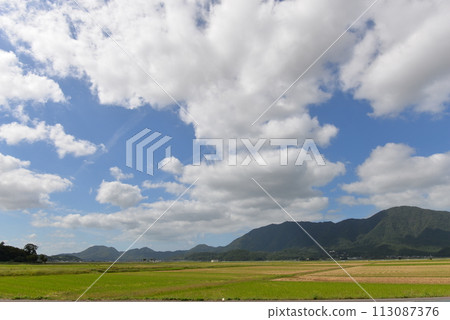 Mt. Yahiko and rural scenery (Niigata City, Niigata Prefecture) 113087376