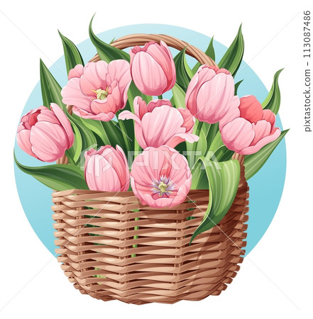 Wicker basket with pink tulips on an isolated background. Suitable for Easter, Women s Day. Vector spring illustration. Gift for mom. Wicker basket with pink tulips on an isolated background. Suitable for Easter, Women s Day. Vector spring illustration. Gift for mom. 113087486