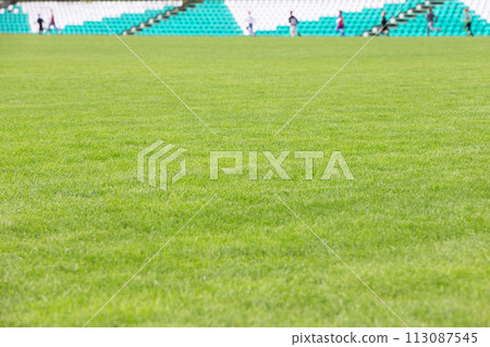 Green lawn with blurred spectator stands and players Green lawn with blurred spectator stands and players 113087545